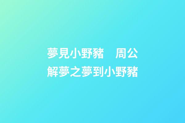 夢見小野豬　周公解夢之夢到小野豬